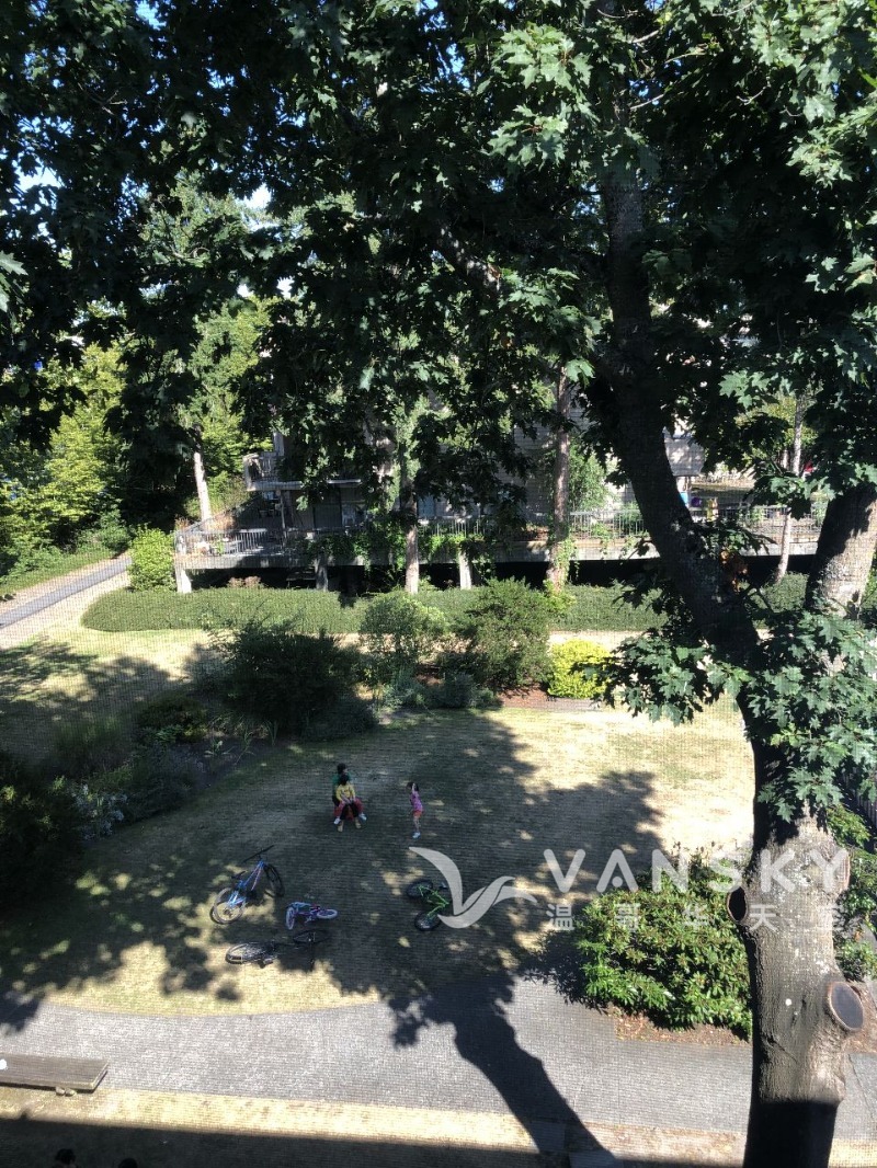 250925115412_View outside.jpeg